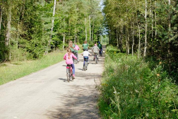 Fot. Z archiwum Nadleśnictwa